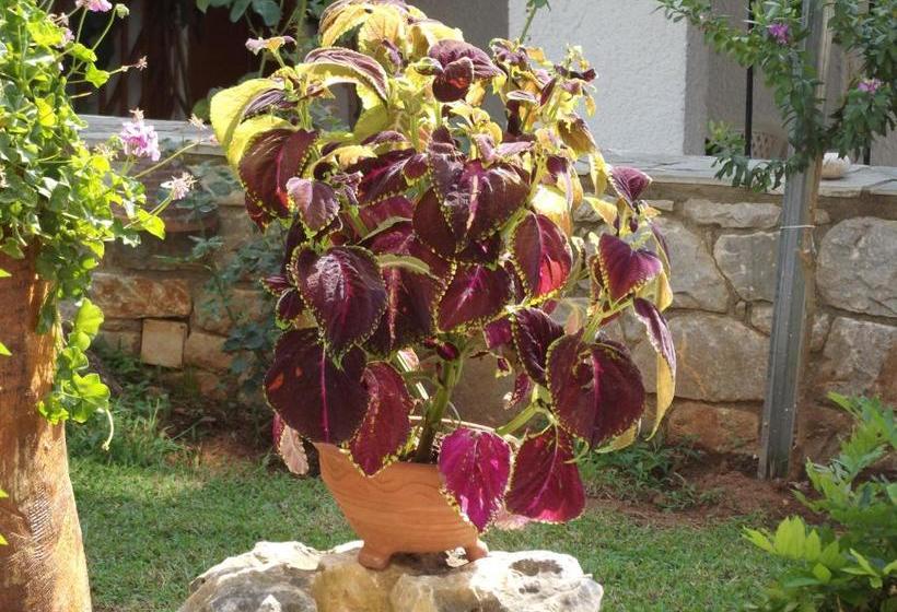 Maistreli Hotel Apartments