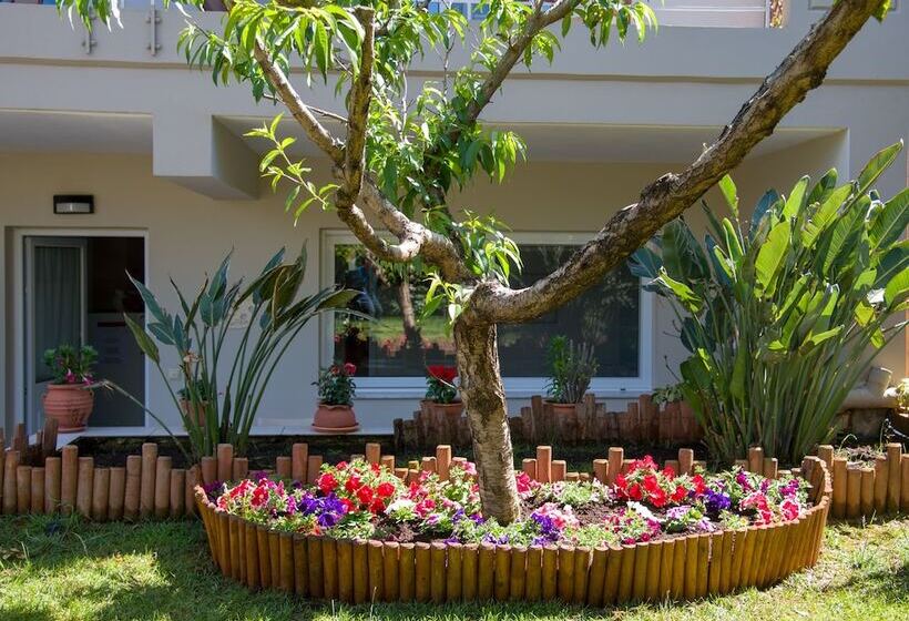 Stamatakis Boutique Studios