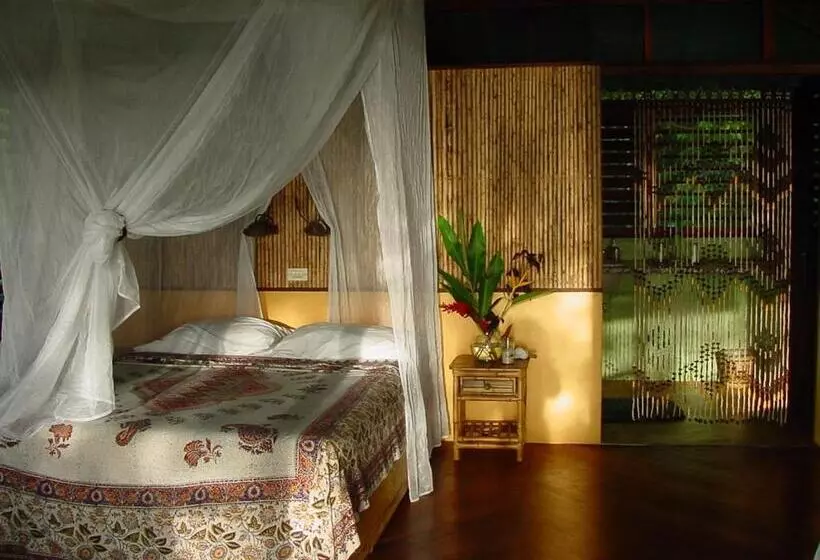 ホテル Iguana Lodge Beach Resort