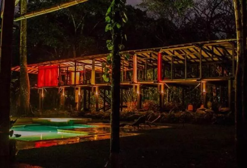 ホテル Iguana Lodge Beach Resort