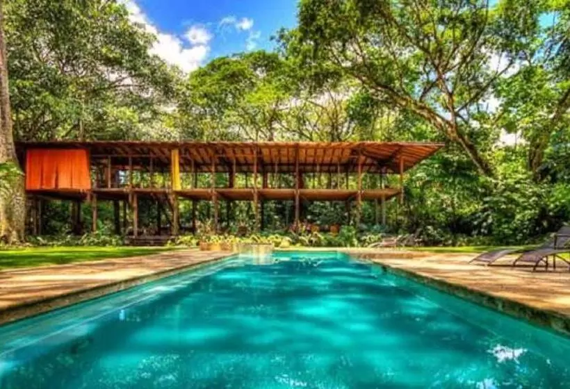 ホテル Iguana Lodge Beach Resort