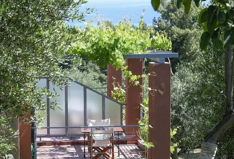 ホテル Kopana Resort