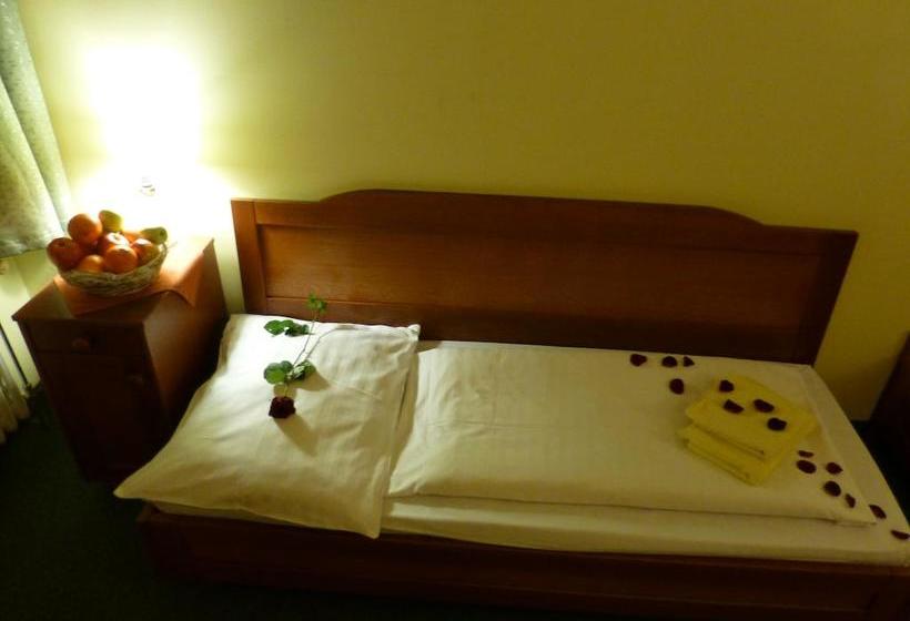 Hotelli Korunní Princ