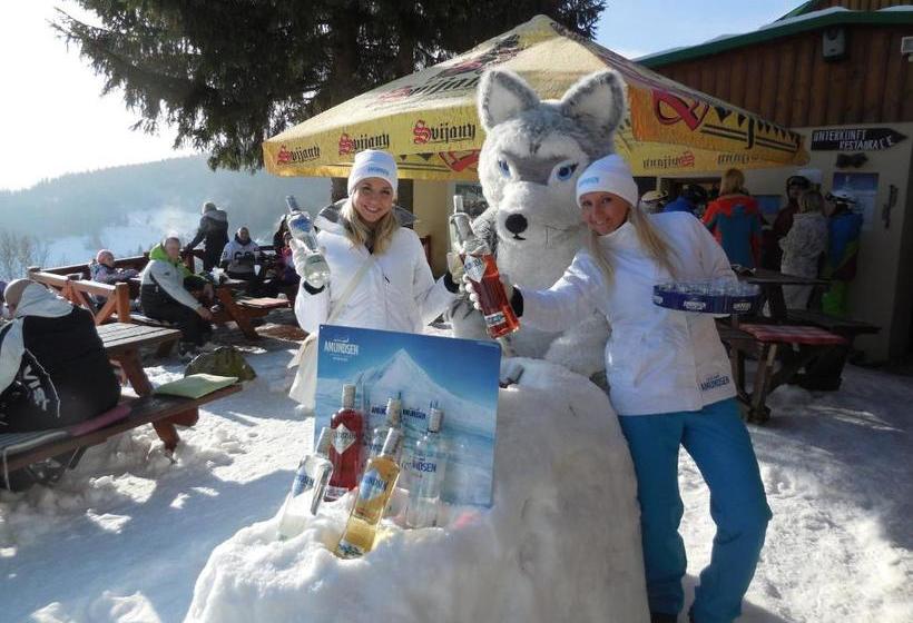 فندق Penzion Alenka