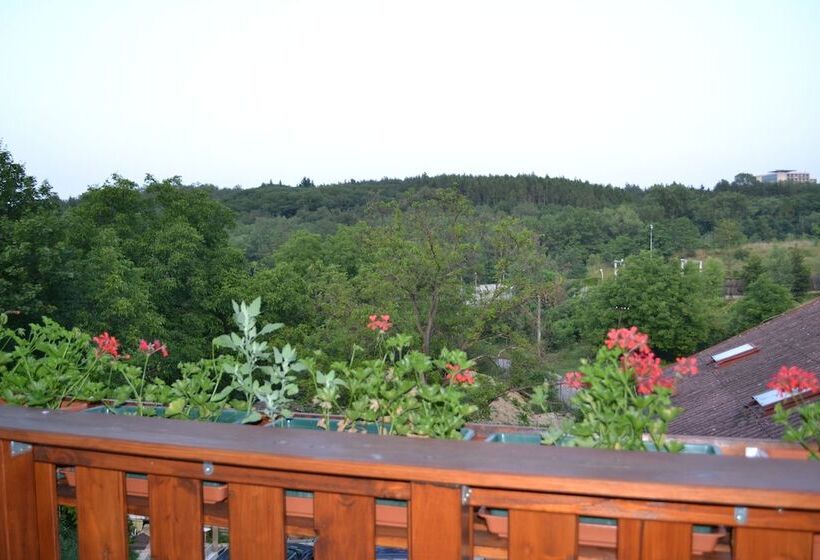 בית מלון כפרי Penzion Levandule