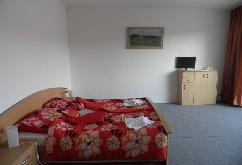 בית מלון כפרי Penzion Levandule