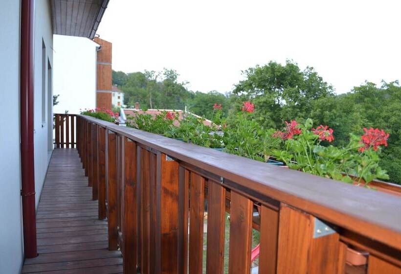 בית מלון כפרי Penzion Levandule