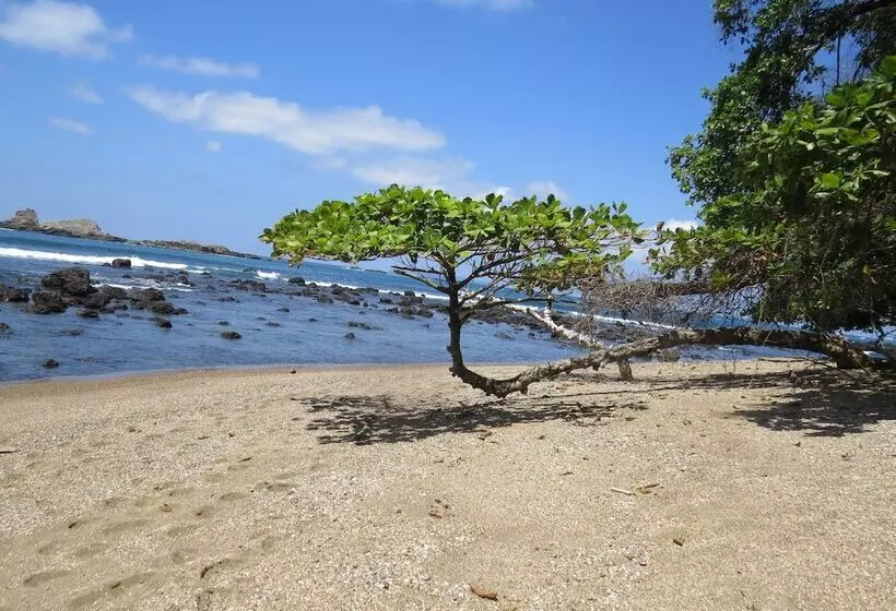 هتل Pirate Cove