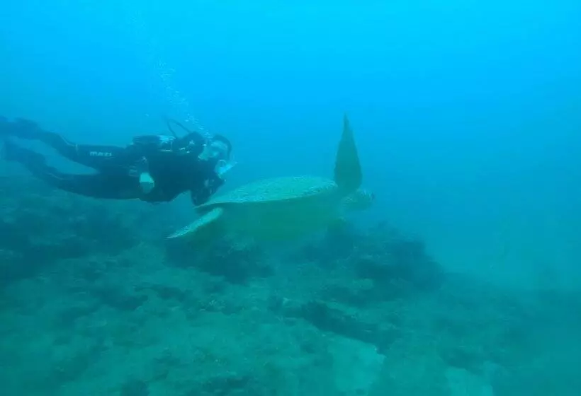 هتل Pirate Cove