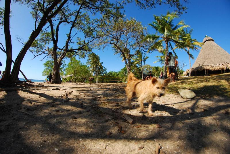 منتجع Playa Negra