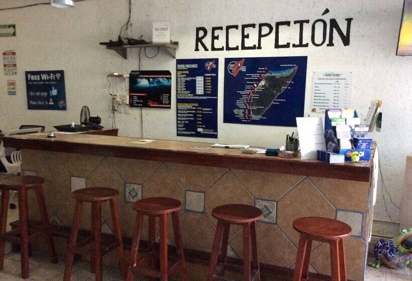 Agave Azul Grand Cozumel, Hotel And Diving