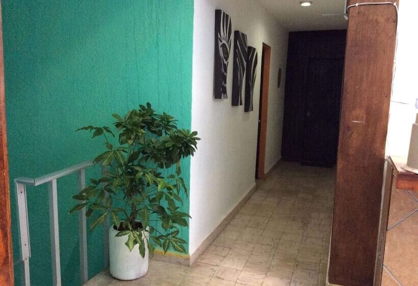 Agave Azul Grand Cozumel, Hotel And Diving