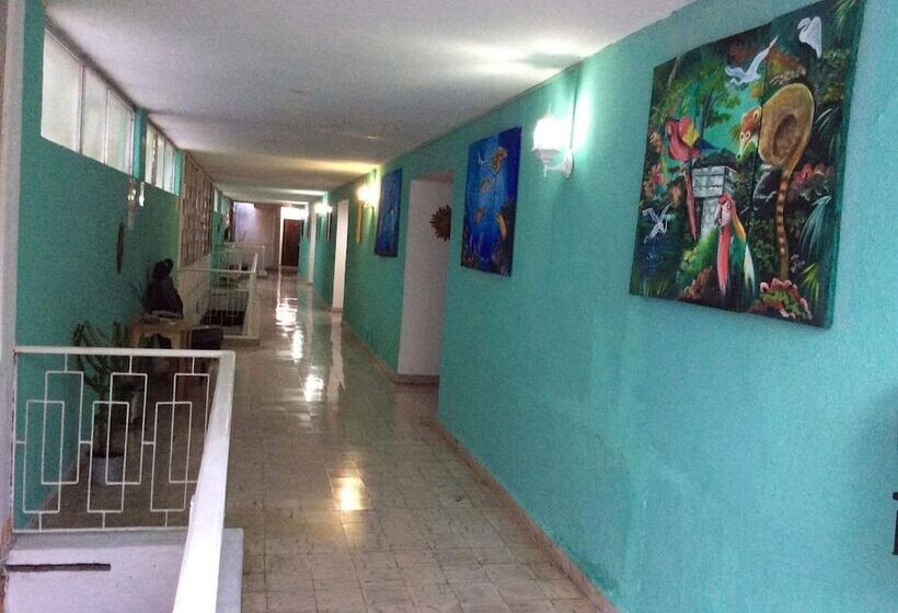 Agave Azul Grand Cozumel, Hotel And Diving