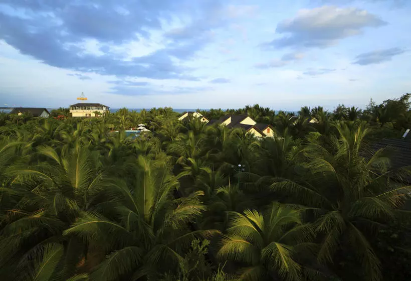 Gold Rooster Resort