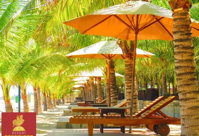 Gold Rooster Resort