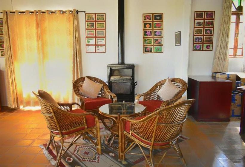 Hotel Ayurvaid Kalmatia