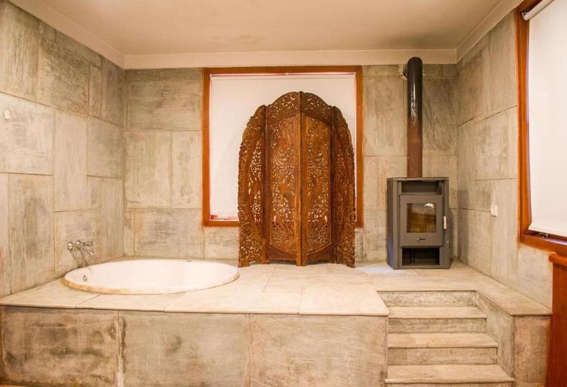 Hotel Ayurvaid Kalmatia