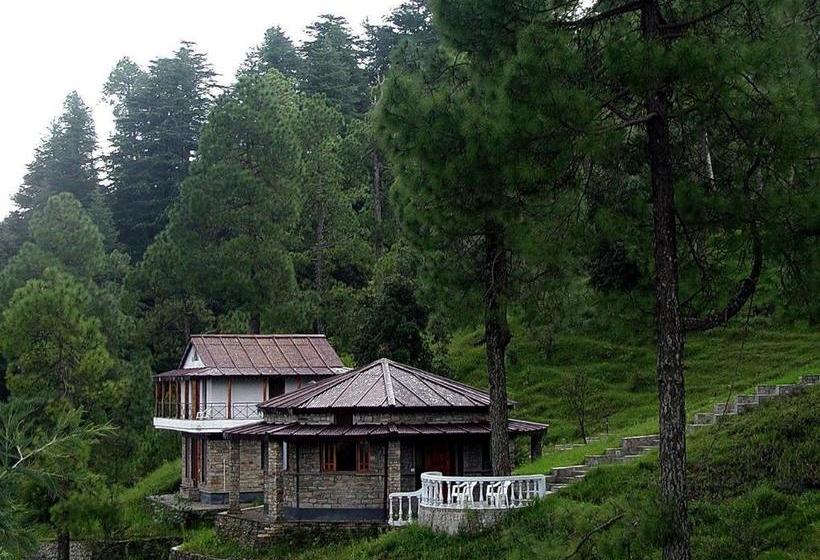 Hotel Ayurvaid Kalmatia