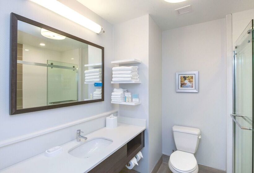 ホテル Hampton Inn Lumberton