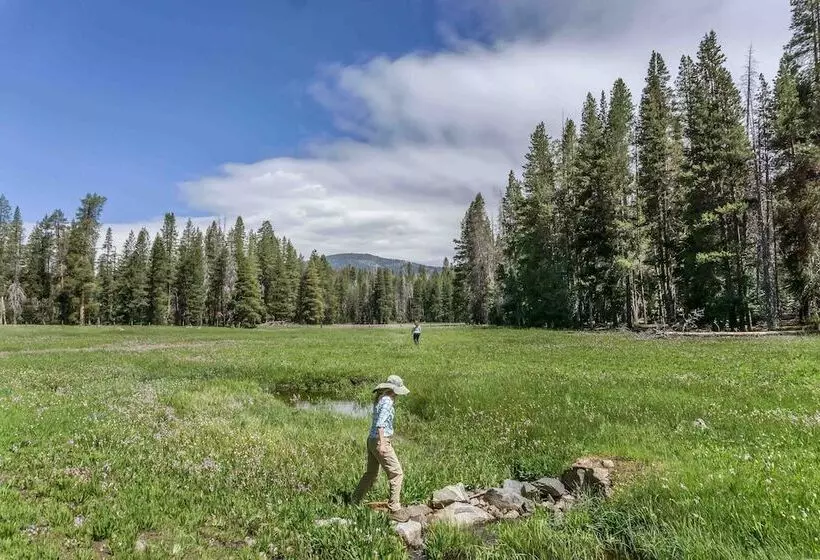 ホテル Holiday Inn Express & Suites Oakhurst Yosemite Park Area, An Ihg