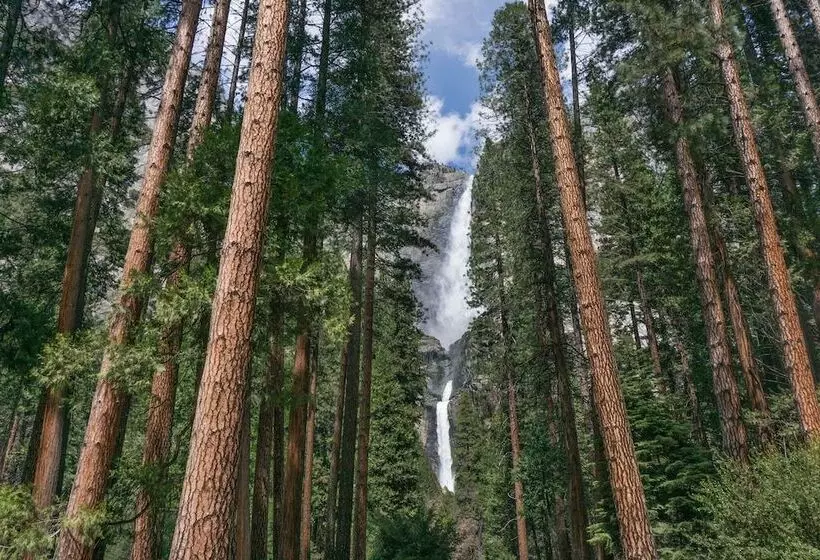 ホテル Holiday Inn Express & Suites Oakhurst Yosemite Park Area, An Ihg