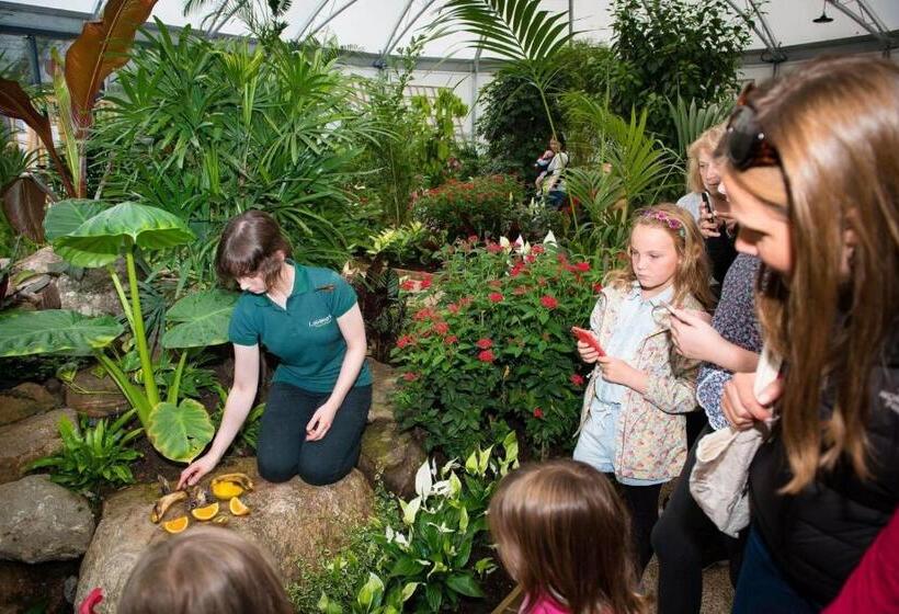 Macdonald Aviemore Hotel At Macdonald Aviemore Resort