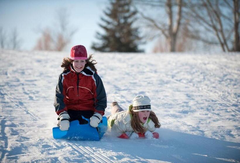 Macdonald Aviemore Hotel At Macdonald Aviemore Resort