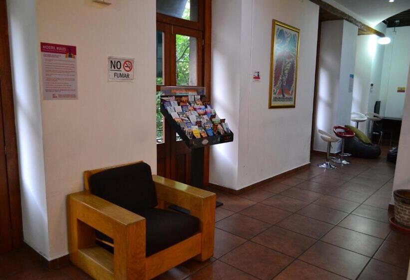 Отель Mexico City Hostel