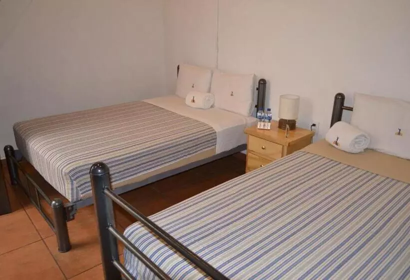 هتل Mexico City Hostel