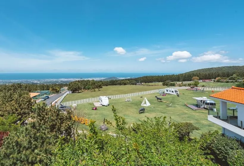 Amber Pure Hill Hotels & Resorts Jeju