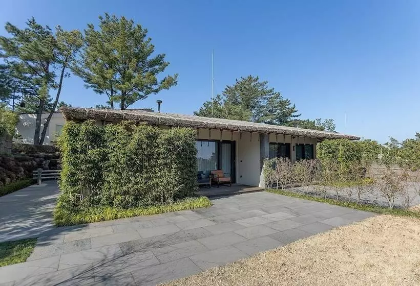 Amber Pure Hill Hotels & Resorts Jeju