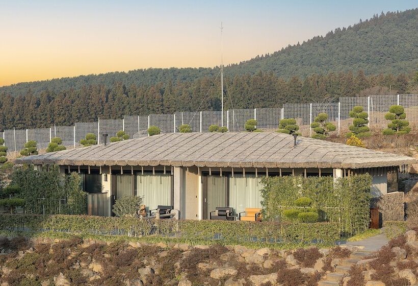 Amber Pure Hill Hotels & Resorts Jeju