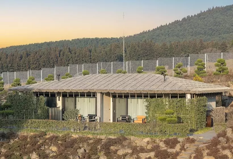 Amber Pure Hill Hotels & Resorts Jeju