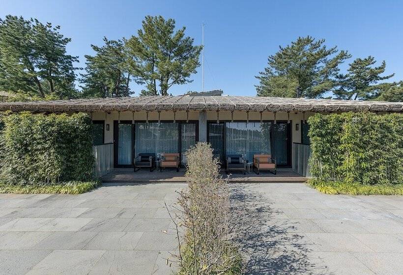 Amber Pure Hill Hotels & Resorts Jeju