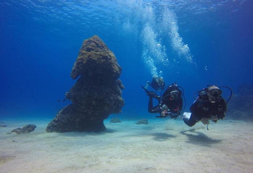 تختخواب و صبحانه Sanasai Inn