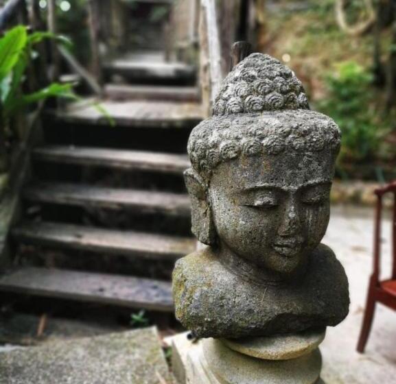 Fig Tree Hills Resort