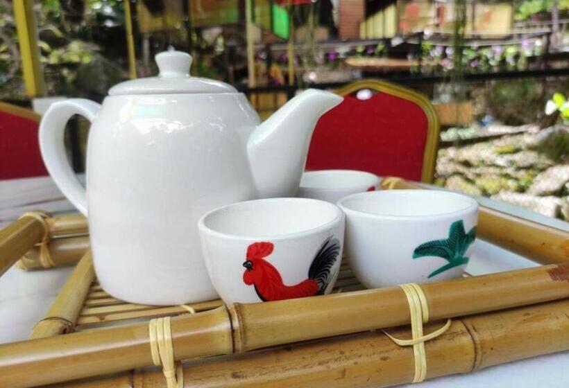 Fig Tree Hills Resort