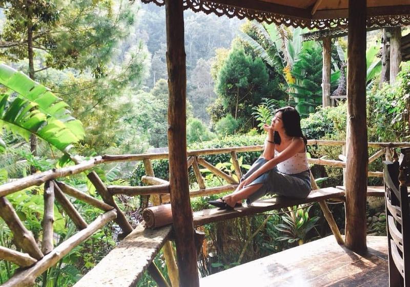 Fig Tree Hills Resort