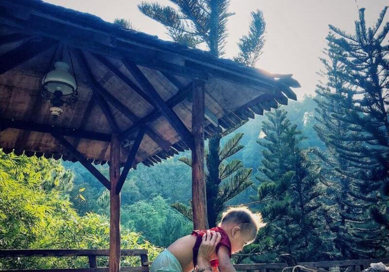 Fig Tree Hills Resort