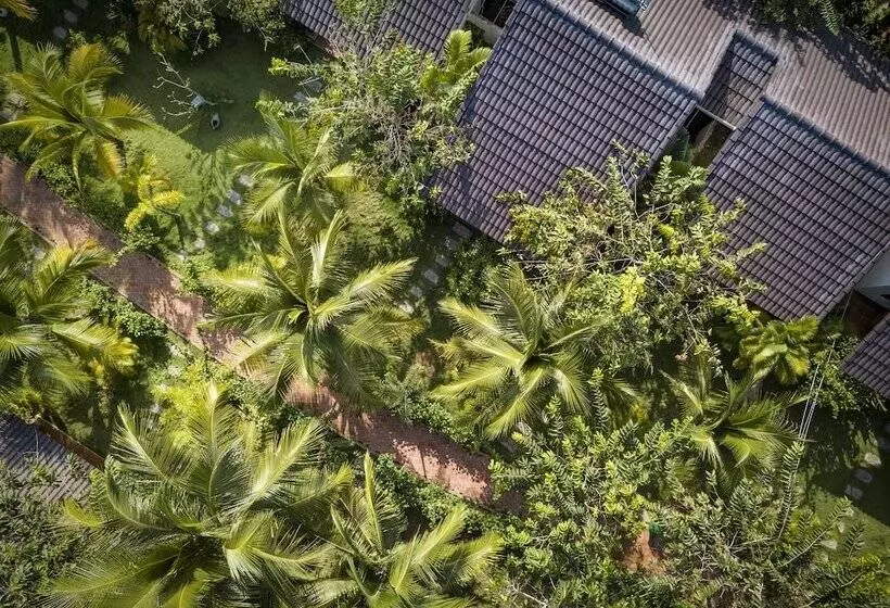 هتل La Casa Resort