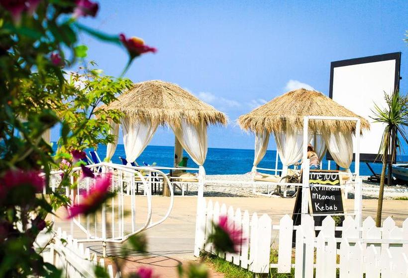 Dima S Apartment In Mgzavrebi