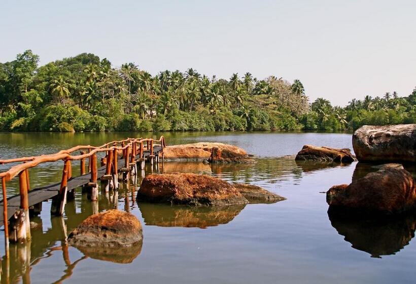 호텔 Shiny Lakeside Resort