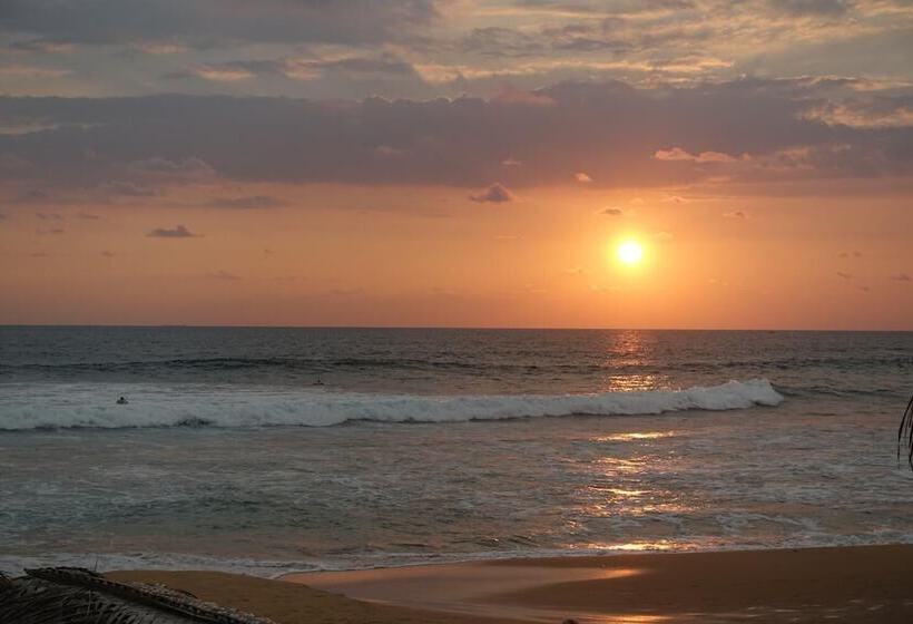 펜션 Plantation House