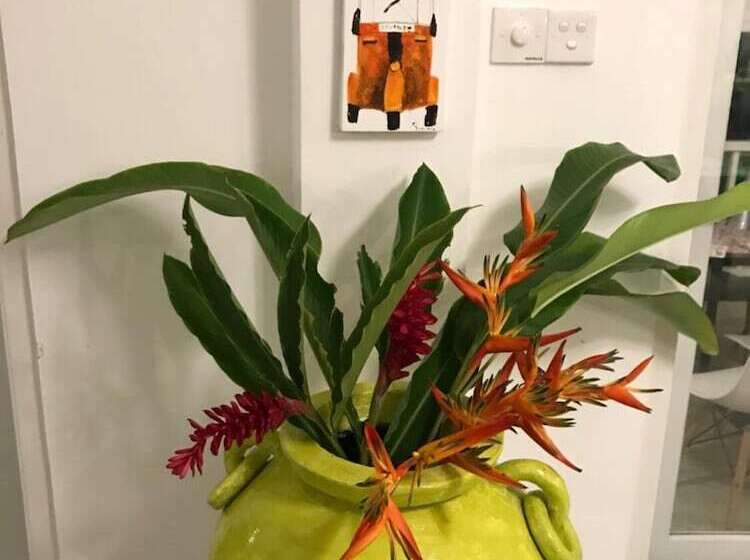 펜션 Plantation House