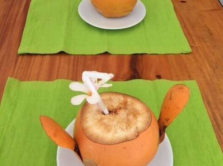 펜션 Plantation House