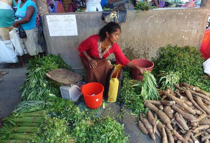 펜션 Plantation House