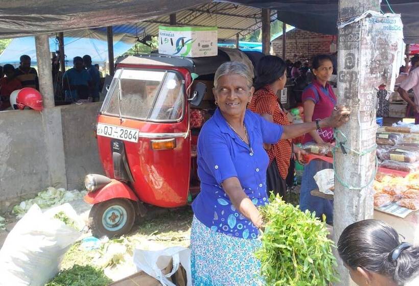 펜션 Plantation House