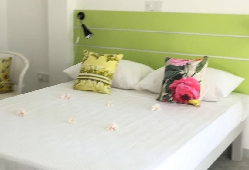 펜션 Plantation House