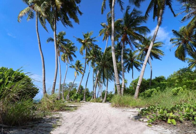 پانسیون Rashu Hiyaa