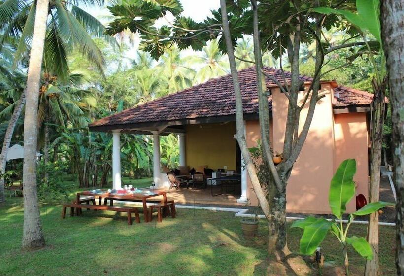 بنسيون Villa Nicomar